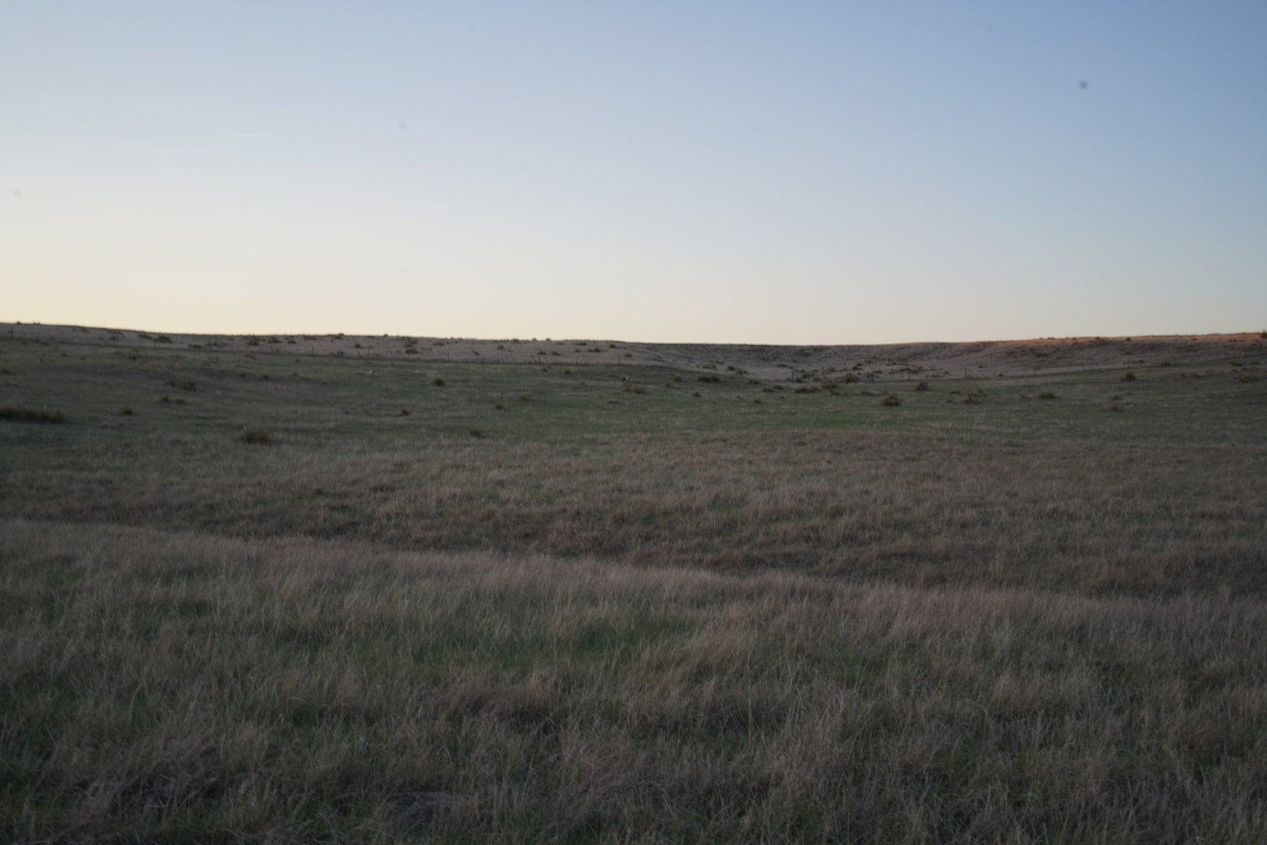 Open shortgrass prairie at dusk — the kind of working land we consult on